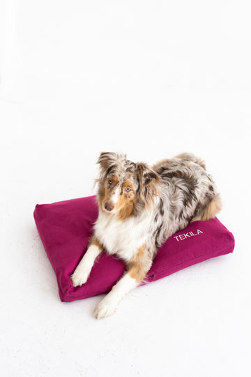 linen dog bed cover